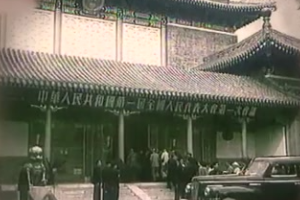 1954年 <em>人民代表</em>大會制實行