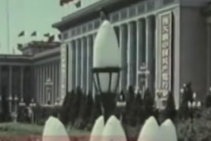 1982年：中央顧問委員會<em>設立</em>