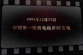 1991年12月15日 <em>中國</em>第一座<em>核電站</em>并網發電