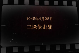 1945年4月28日 三垛伏擊戰