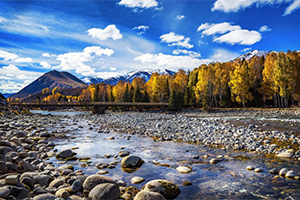 環境科學<em>專業</em>：《環境<em>生態學</em>》<em>課程</em><em>思</em><em>政</em>案例