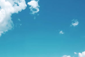 <em>微</em><em>課</em>：園林工程<em>技術</em><em>專業</em>《園林植物造景—植物造景》