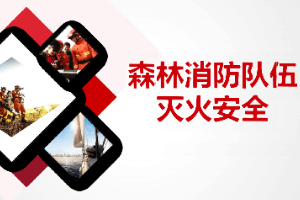 <em>課件</em>：林業<em>技術</em><em>專業</em>《森林<em>防火</em>—森林消防隊伍》