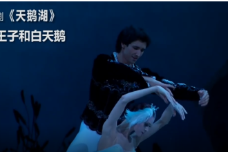 芭蕾舞劇《天鵝湖—曲2王子和白天鵝》