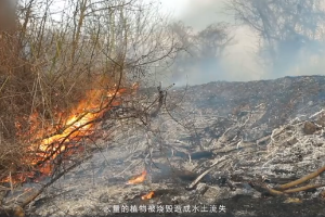 森林消防法律知識