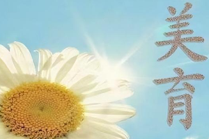 通識課：《大學<em>美育</em>》<em>課程</em><em>思</em><em>政</em>申報書