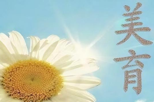 三峽大學<em>新時代</em>大學生<em>美育</em>教育<em>實施方案</em>
