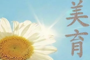 中國(guó)民航大學(xué)美育工作<em>實(shí)施方案</em>