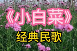 <em>美育</em><em>類</em><em>資源</em>—<em>音樂作品</em>《小白菜》