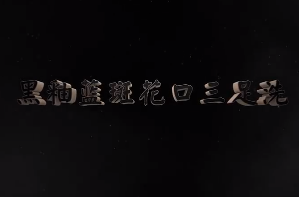 <em>中華</em><em>傳統文化</em>—黑<em>釉</em>藍斑花口三足洗