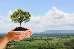 植物保護<em>與</em>檢疫技術<em>專業</em>：《植物保護技術》<em>課程</em><em>實踐</em>教學<em>的</em>探索