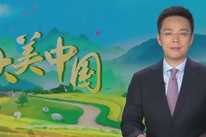 大美<em>中國</em>貴州印江：強化<em>野生</em><em>動植物</em>保護 讓人與<em>自然</em>和諧共生