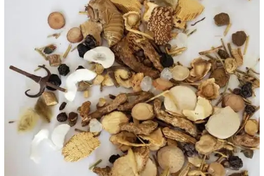 中藥鑒定技術(shù)