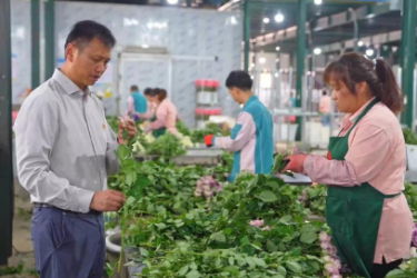 帶富先鋒張良：種好一朵花 帶富一群人