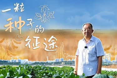 “全國先進工作者”張孟臣：一粒種子的征途