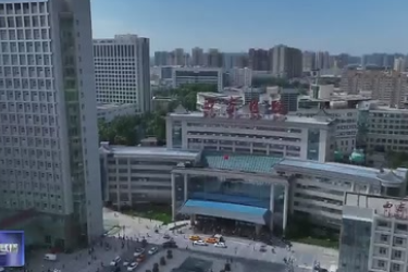 陜西省實施亞洲首例<em>基因</em><em>編輯</em>豬—終末期腎病患者異種腎移植