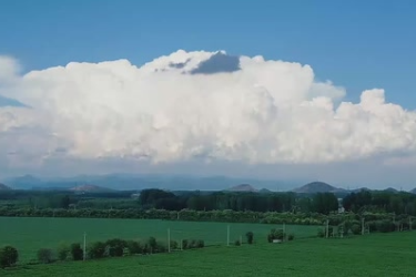 北京<em>新</em><em>農(nóng)人</em>劉福娟：科技大棚<em>的</em>“育苗女王”