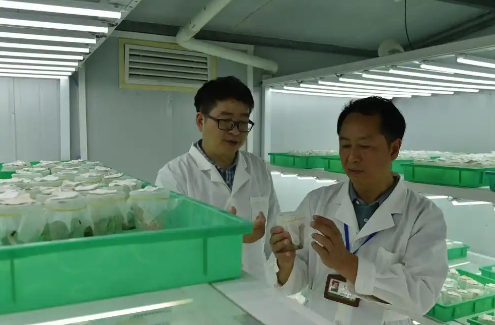 宋光龍植保工匠室：綠水青山的<em>守護</em>者，植保工匠精神的<em>傳承</em>者