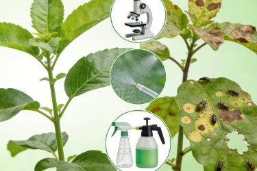 <em>園林</em>技術<em>專業</em>《<em>園林植物</em>病蟲害防治—<em>園林植物</em>病蟲害防治<em>原理</em>和<em>方法</em>》<em>課程</em><em>思</em><em>政</em><em>課堂教學</em><em>設計</em>