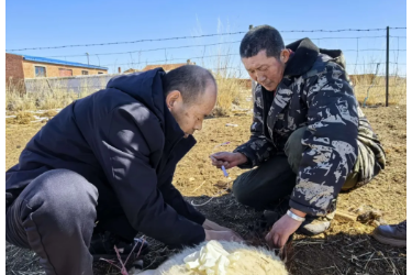 草原獸醫林巖 三十二載護牧興
