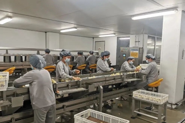 貴州松桃：年產10億枚 產值16億元！科技賦能蛋雞產業全鏈條騰飛