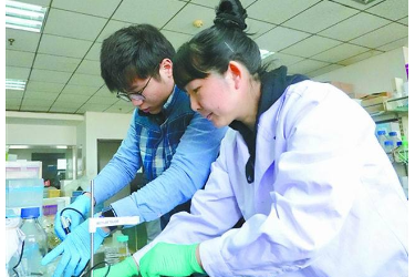鐘瑾：聞香識飼料