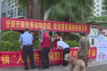 東莞鳳崗：貓犬秋季防疫<em>忙</em> 免費接種護安康