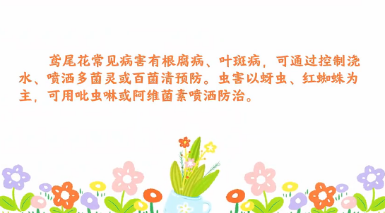荷花病蟲害防治<em>小</em><em>技巧</em>