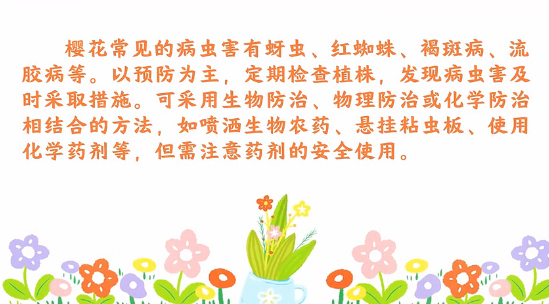 櫻花病蟲害防治小技巧